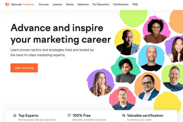 SEO Expert