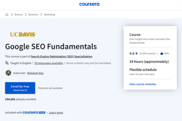 SEO Expert
