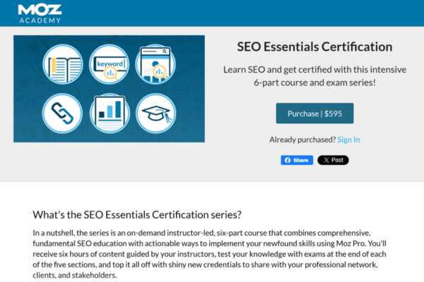 SEO Expert