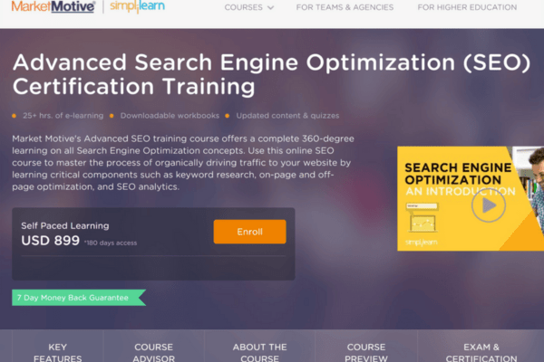SEO Expert
