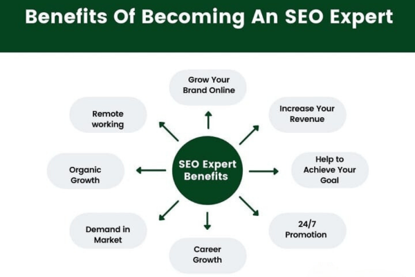 SEO Expert