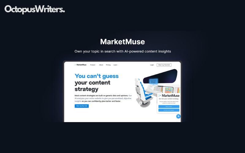 MarketMuse Tool