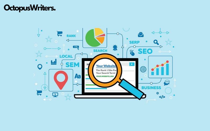 SEO Campaign Example in 2024 