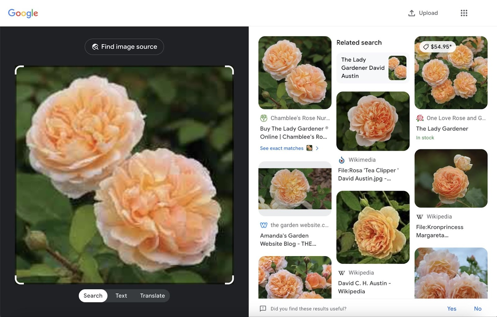 Image SEO